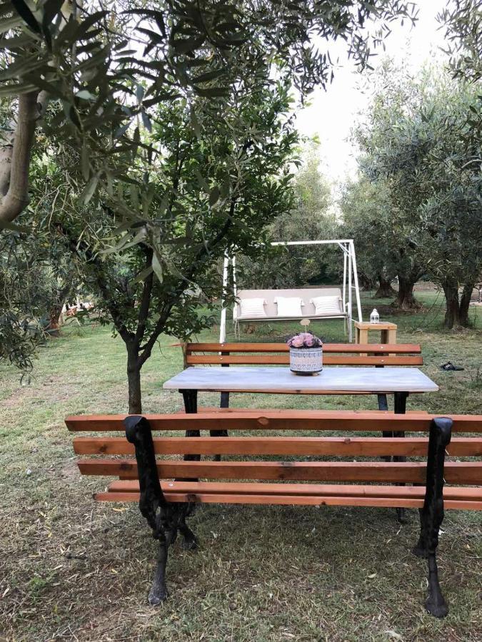 Green Olive Studios 2 Agios Mamas (Chalkidiki) Exterior foto