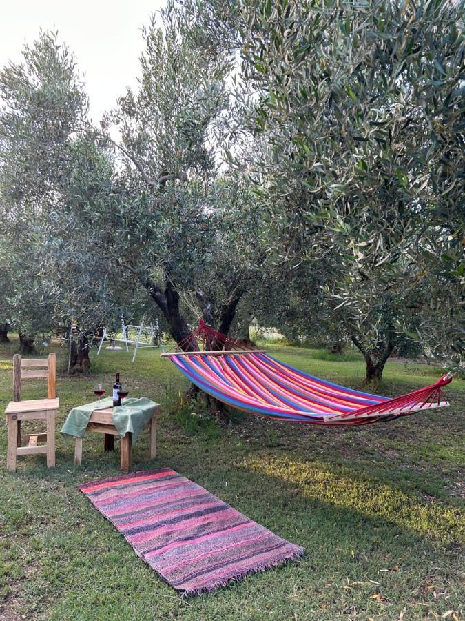 Green Olive Studios 2 Agios Mamas (Chalkidiki) Exterior foto